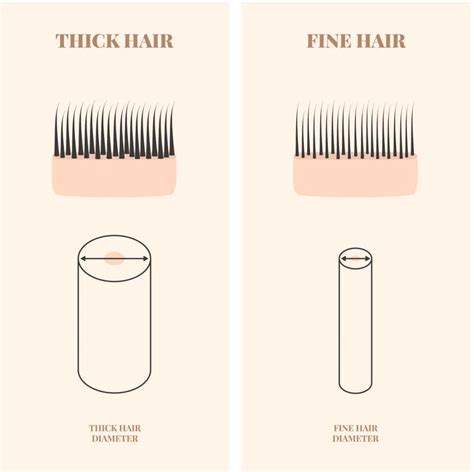 tool to measure thickness of hair|how to measure thick hair.